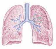 Pulmonary emphysema